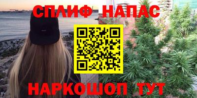 мяу мяу мука Гусев