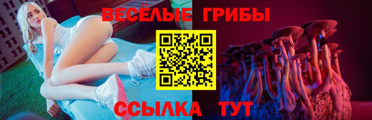 купить наркоту  Псилоцибиновые грибы MAGIC MUSHROOMS  Вход с VPN  Лесной 