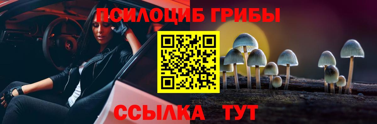 Псилоцибиновые грибы Cubensis Лесной